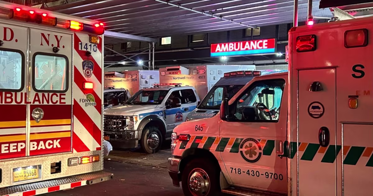 NYC Health + Hospitals-ზე კიბერთავდასხმის შედეგად 1.8 მილიონი ადამიანის სამედიცინო მონაცემები და თითის ანაბეჭდები მოიპარეს